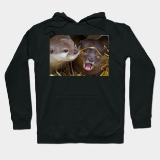 Otter .. she just told him a funny joke Hoodie